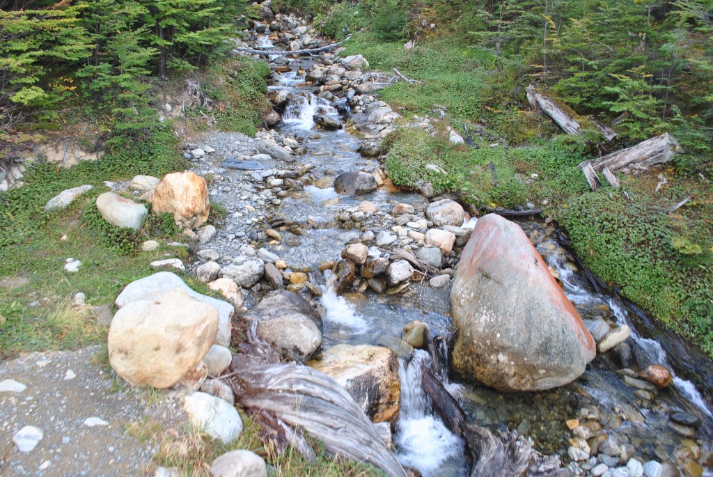 Foto de Ushuaia (Tierra del Fuego), Argentina