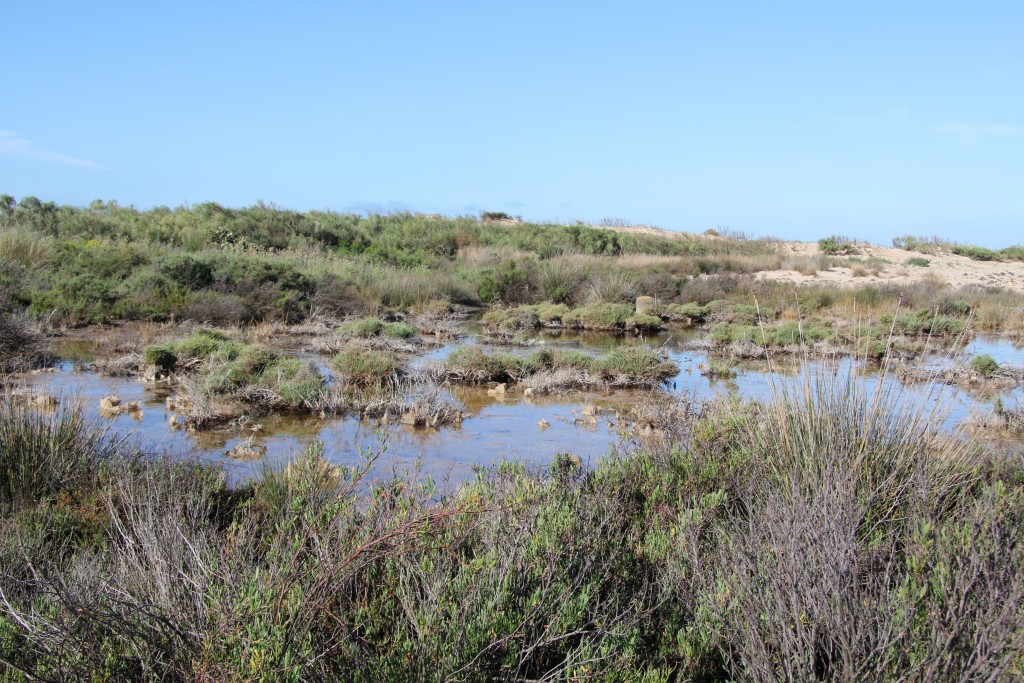 Foto de San Fernando (Cádiz), España
