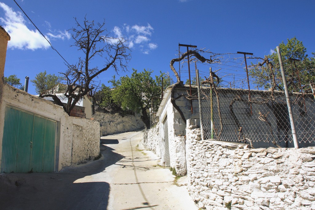 Foto: Centro histórico - Olula de Castro (Almería), España