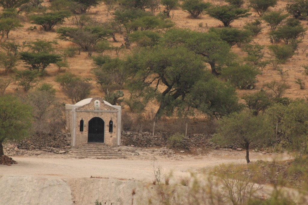 Foto: Capillita - Peña de Bernal (Querétaro), México