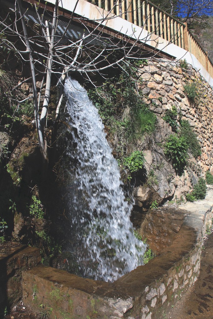 Foto: Rio Andarax - Laujar de Andarax (Almería), España