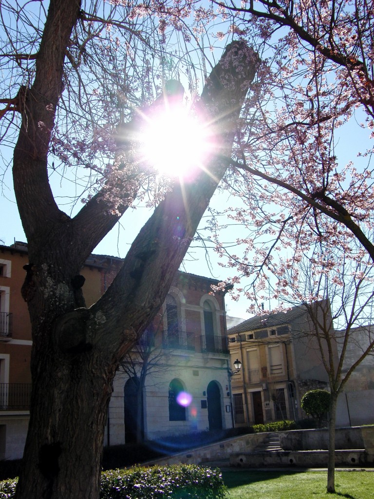Foto de Peñafiel (Valladolid), España