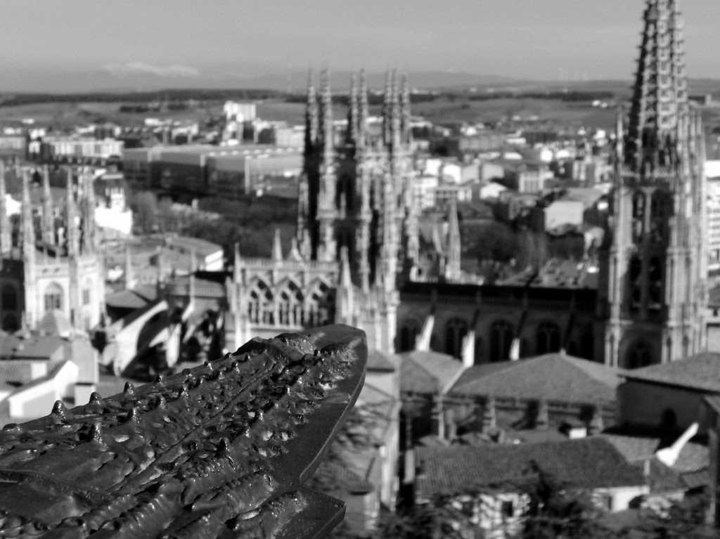 Foto de Burgos (Castilla y León), España