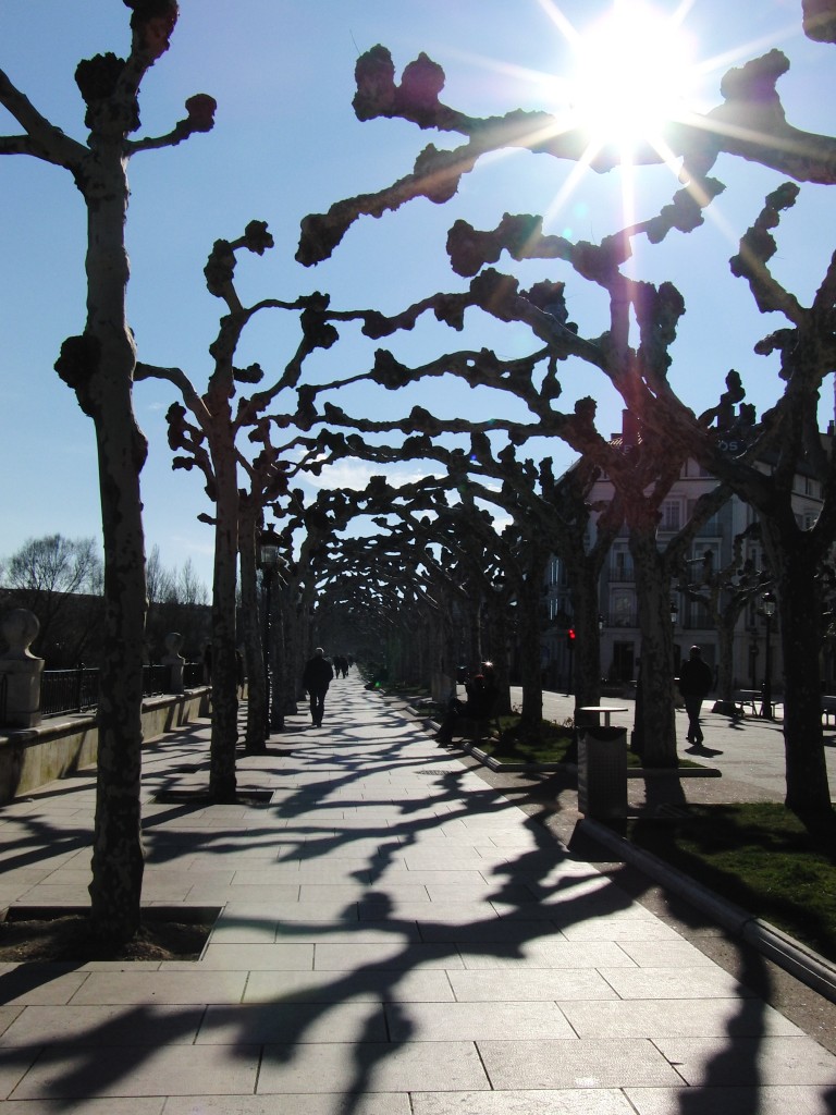 Foto de Burgos (Castilla y León), España