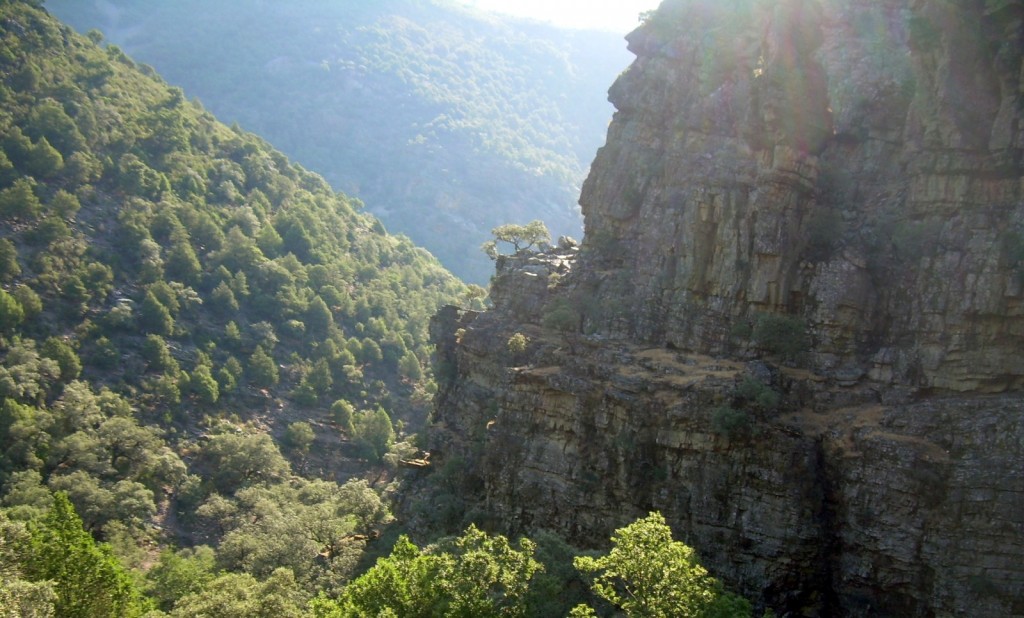 Foto: Las Batuecas - Las Mestas (Cáceres), España