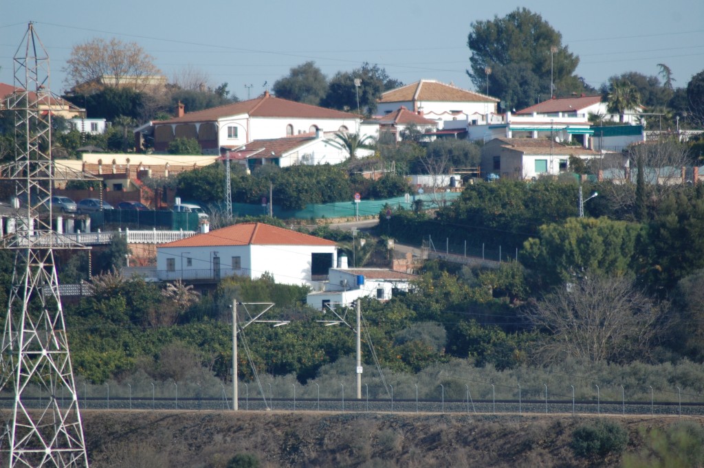 Foto: El Baldio De Palma Del Rio - Palma Del Rio (Córdoba), España