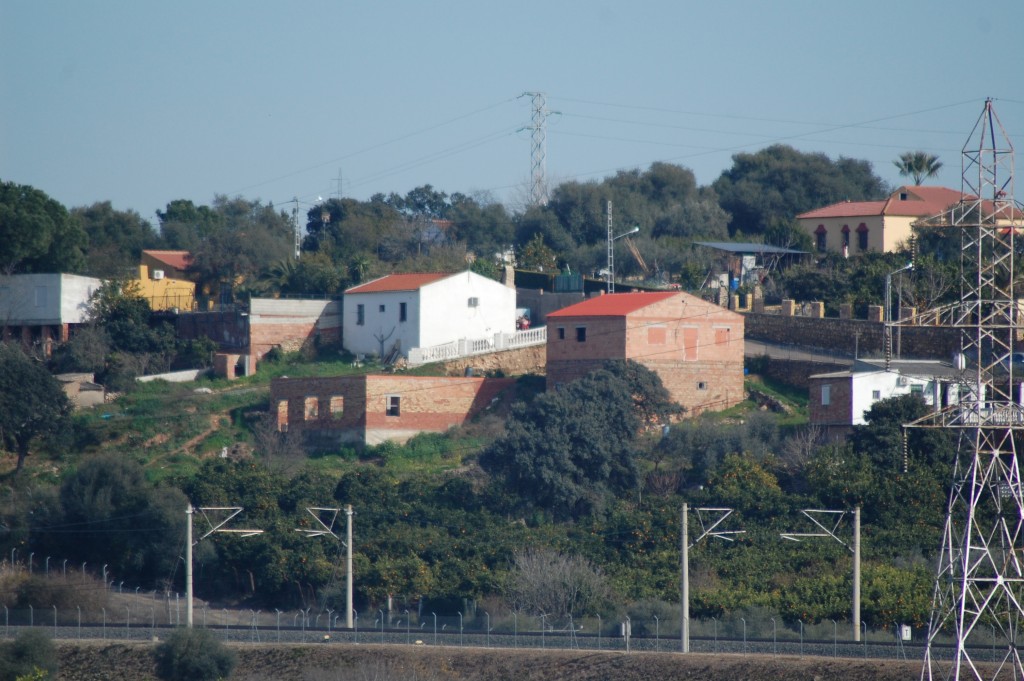 Foto: El Baldio De Palma Del Rio - Palma Del Rio (Córdoba), España