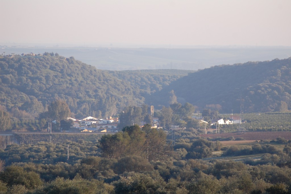 Foto: La Vereda De Peñaflor - Peñaflor (Sevilla), España