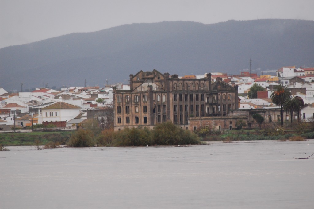 Foto de Peñaflor (Sevilla), España