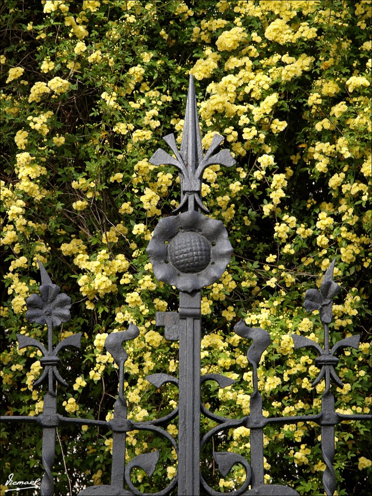 Foto: 110403-03 SAN ANTONIO - Zaragoza (Aragón), España