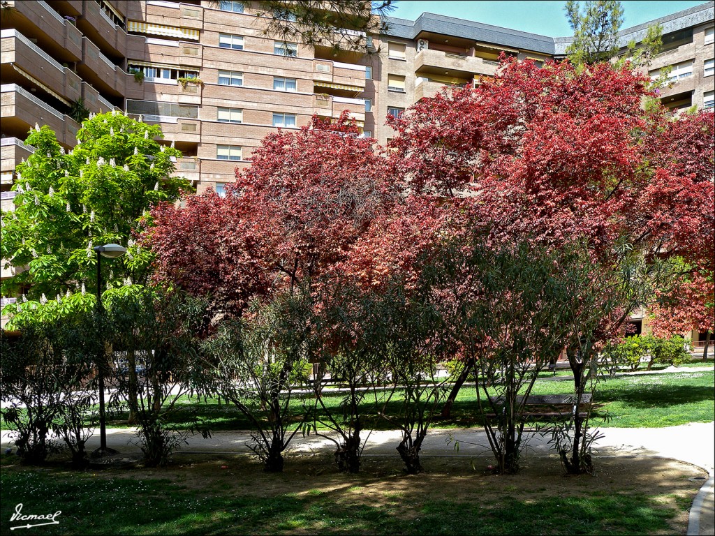 Foto: 110405-10 PARQUE MIRAFLORES - Zaragoza (Aragón), España