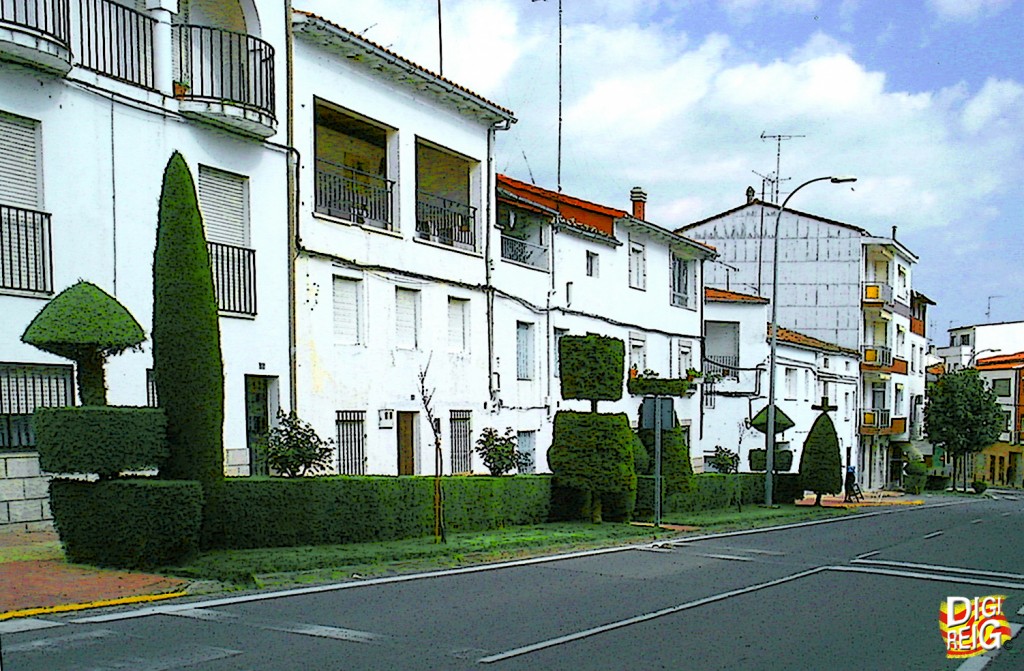 Foto: Calle adornada con setos artísticos. - Losar de la Vera (Cáceres), España