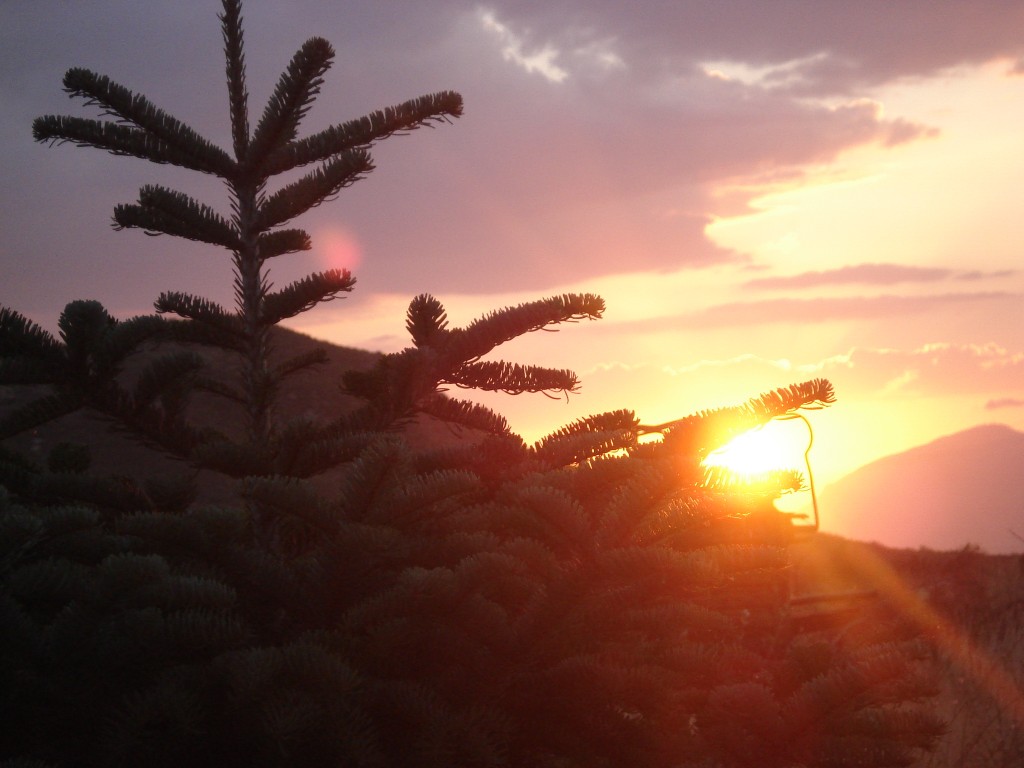 Foto de La Jamula de baza (Granada), España