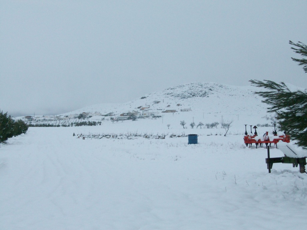 Foto de La Jamula de baza (Granada), España