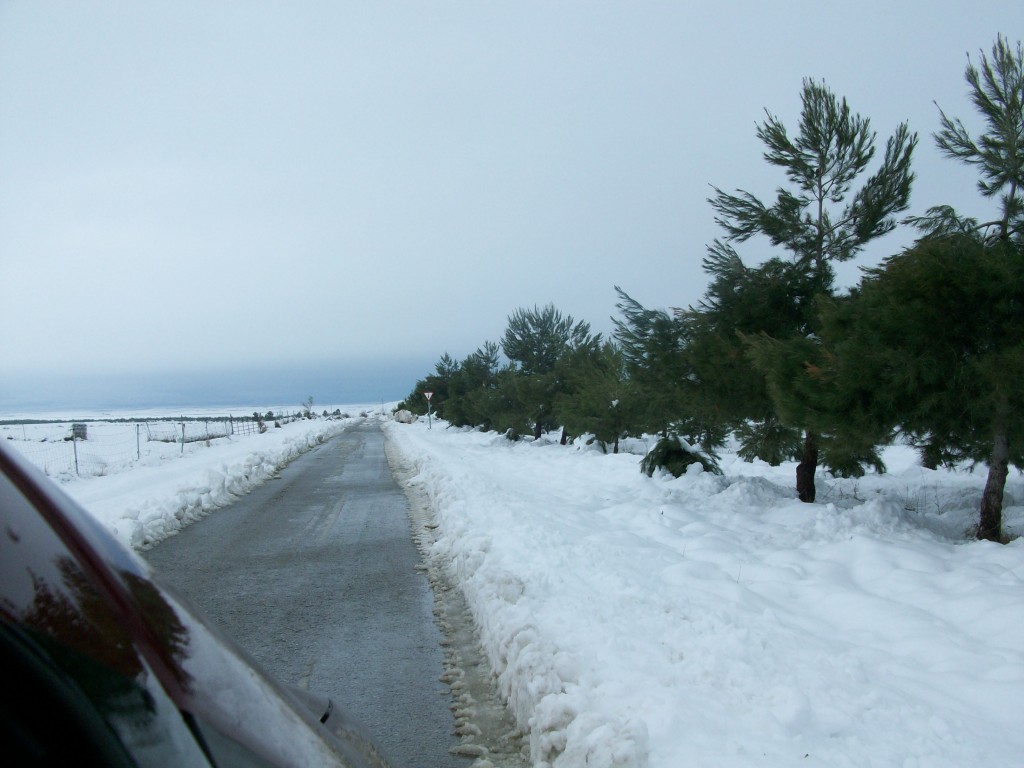 Foto de La Jamula de baza (Granada), España