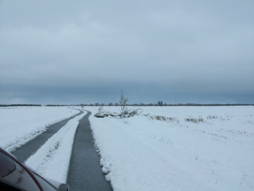 Foto de La Jamula de baza (Granada), España
