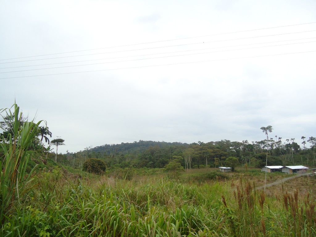 Foto: Paisaje - Puyo (Pastaza), Ecuador
