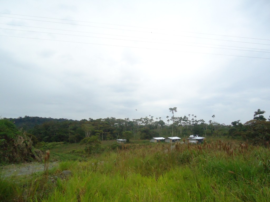 Foto: paisaje - Puyo (Pastaza), Ecuador