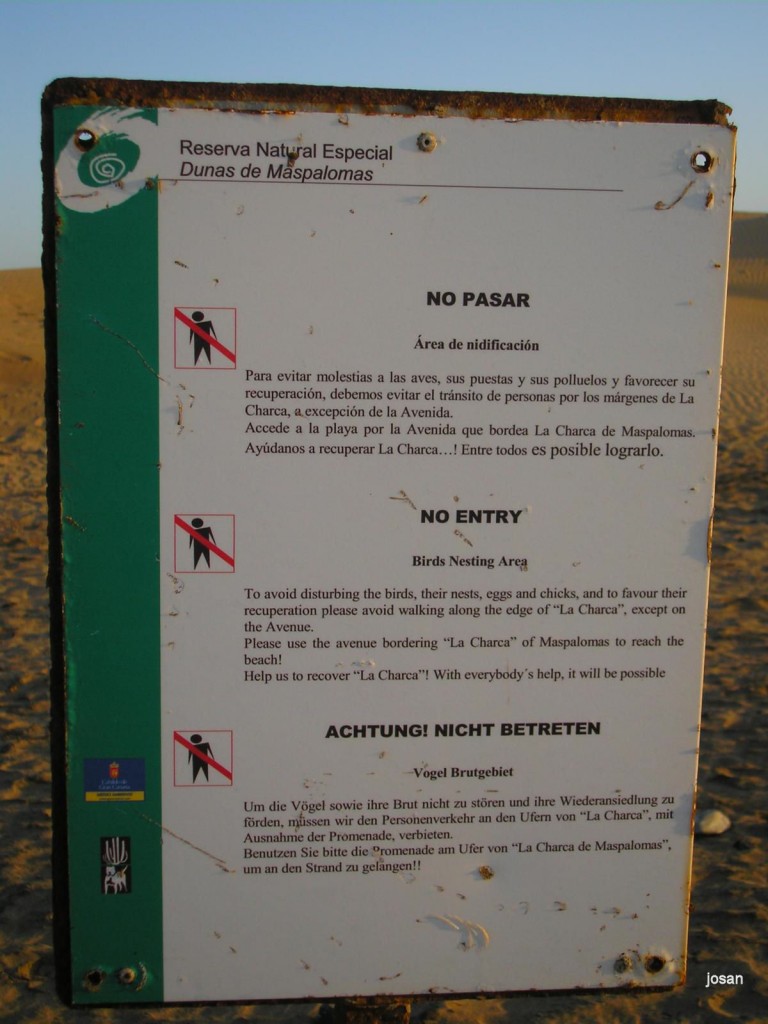 Foto: dunas y charca de maspalomas - Maspalomas (Las Palmas), España