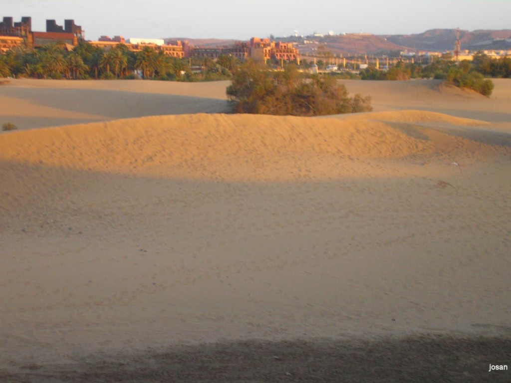 Foto: dunas y charca de maspalomas - Maspalomas (Las Palmas), España