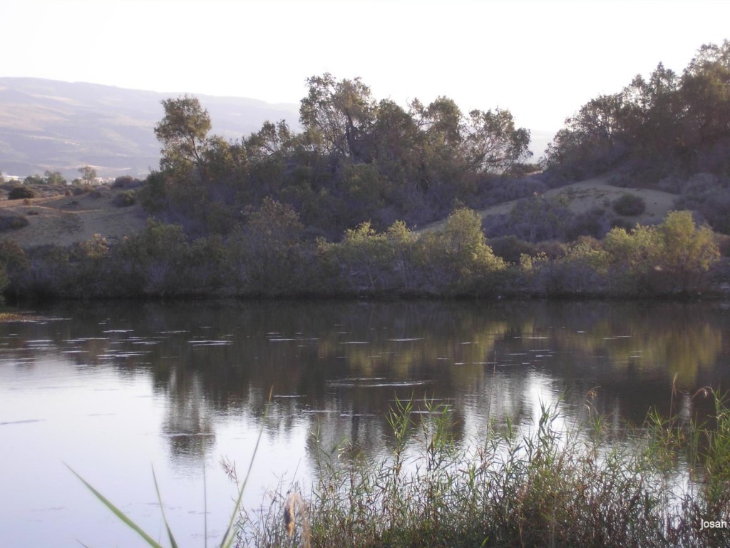 Foto: dunas y charca de maspalomas - Maspalomas (Las Palmas), España
