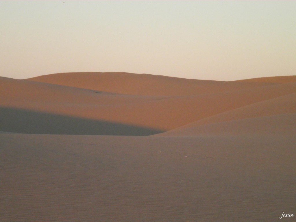 Foto: dunas y charca de maspalomas - Maspalomas (Las Palmas), España