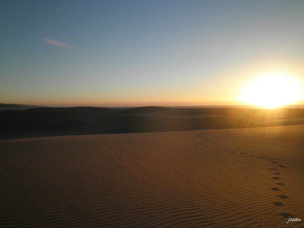 Foto: dunas y charca de maspalomas - Maspalomas (Las Palmas), España