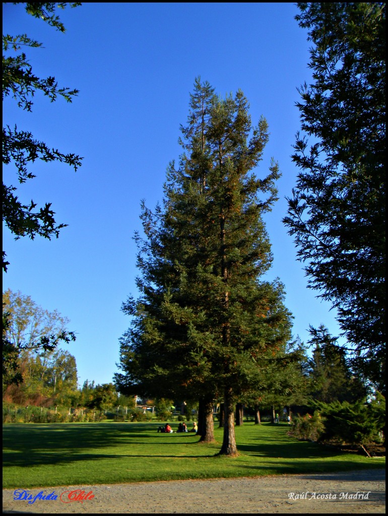 Foto de Rancagua (Libertador General Bernardo OʼHiggins), Chile