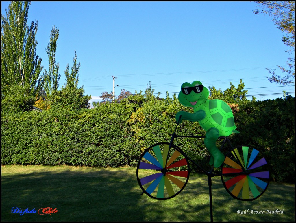 Foto de Rancagua (Libertador General Bernardo OʼHiggins), Chile
