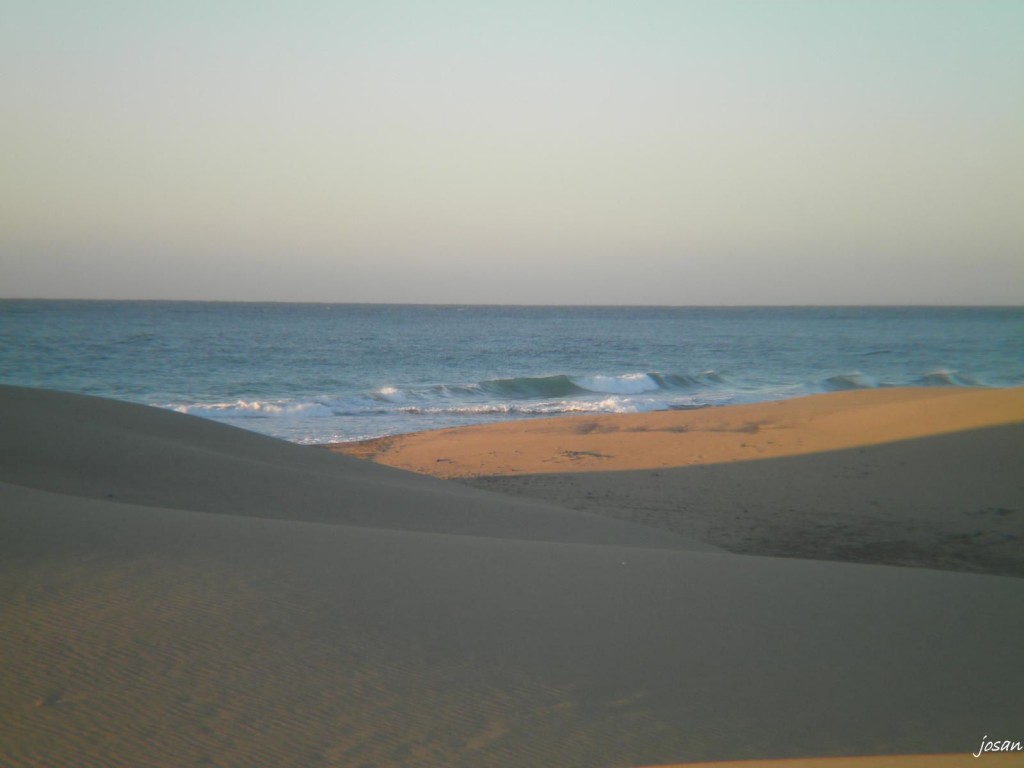 Foto: dunas y charca de maspalomas - Maspalomas (Las Palmas), España