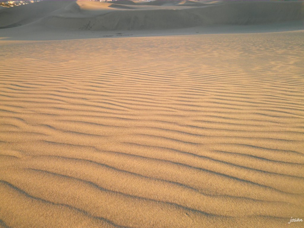 Foto: dunas y charca de maspalomas - Maspalomas (Las Palmas), España