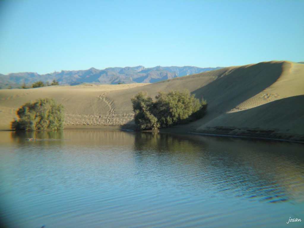 Foto: dunas y charca de maspalomas - Maspalomas (Las Palmas), España