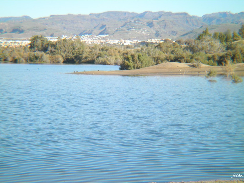 Foto: dunas y charca de maspalomas - Maspalomas (Las Palmas), España