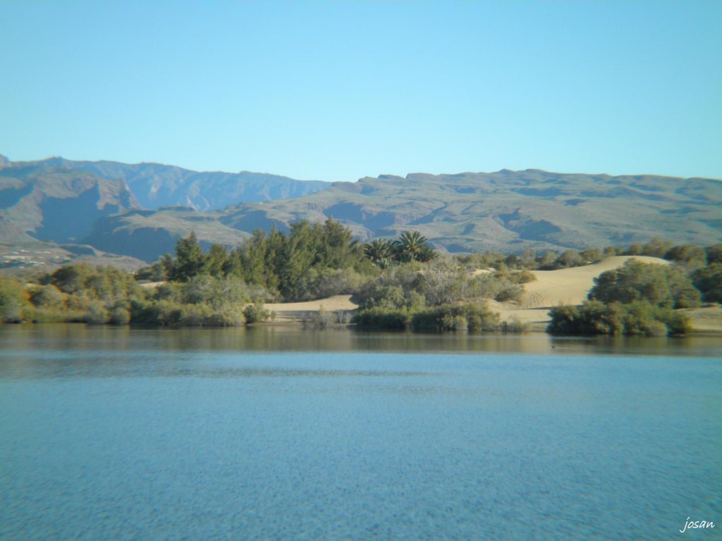 Foto: dunas y charca de maspalomas - Maspalomas (Las Palmas), España