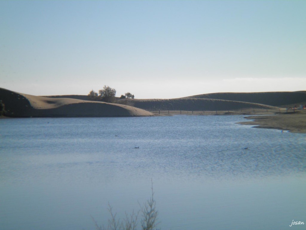 Foto: dunas y charca de maspalomas - Maspalomas (Las Palmas), España