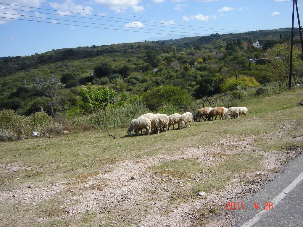 Foto: Camino a Ancasti - Ancasti, Catamarca (Córdoba), Argentina
