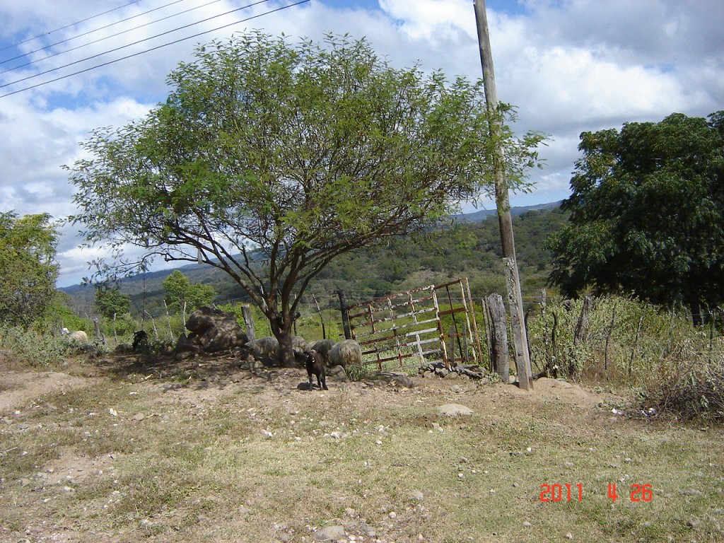 Foto: Camino a Ancasti - Ancasti, Catamarca (Córdoba), Argentina