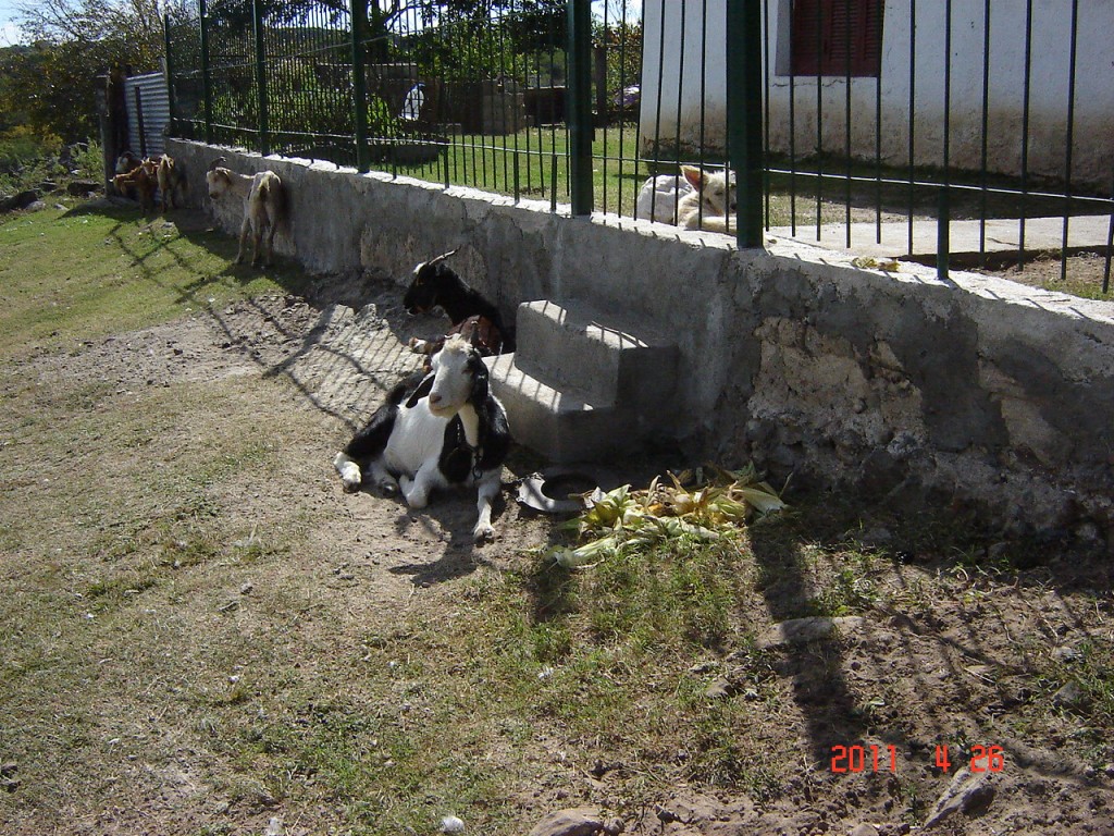 Foto: Camino a Ancasti - Ancasti, Catamarca (Córdoba), Argentina