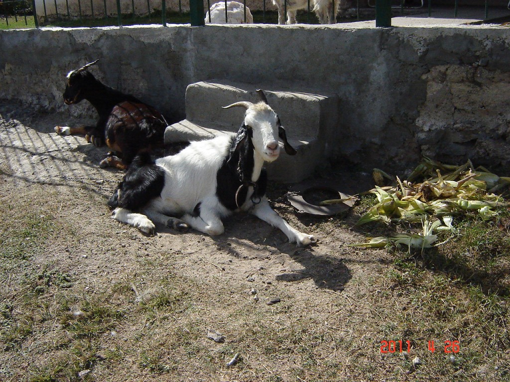 Foto: Camino a Ancasti - Ancasti, Catamarca (Córdoba), Argentina