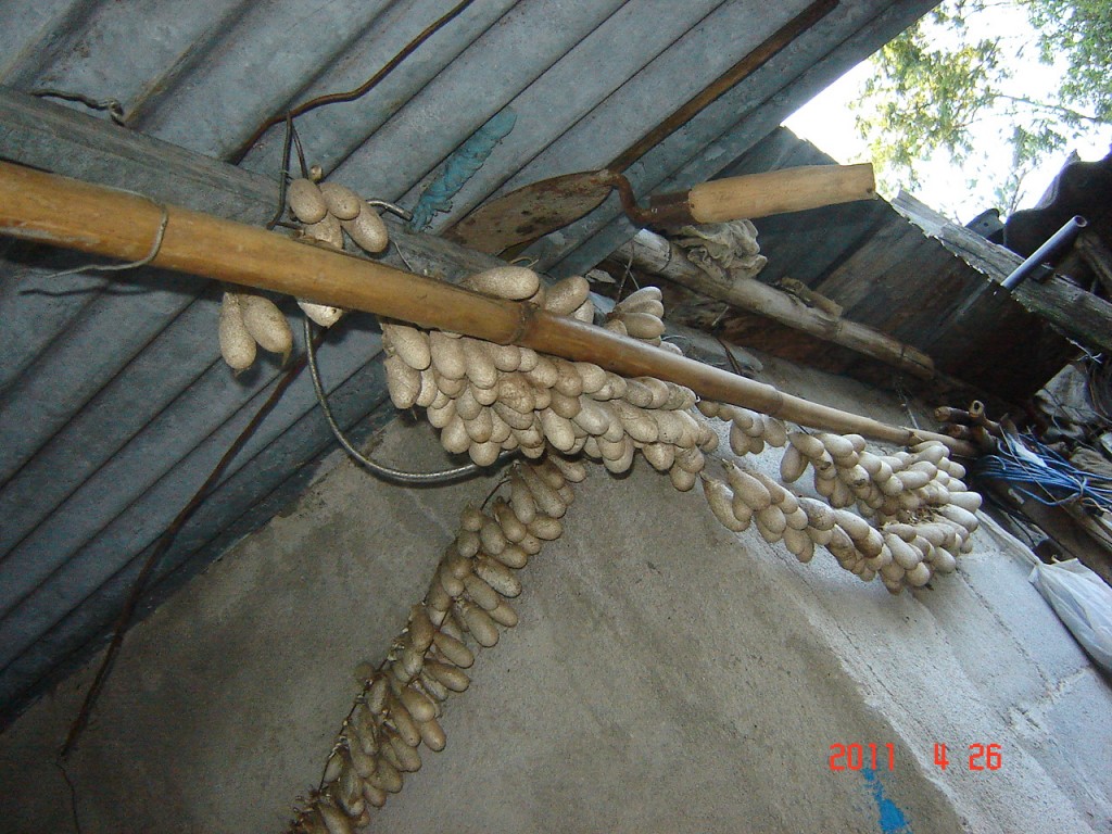 Foto: Artesanos - Ancasti, Catamarca (Córdoba), Argentina