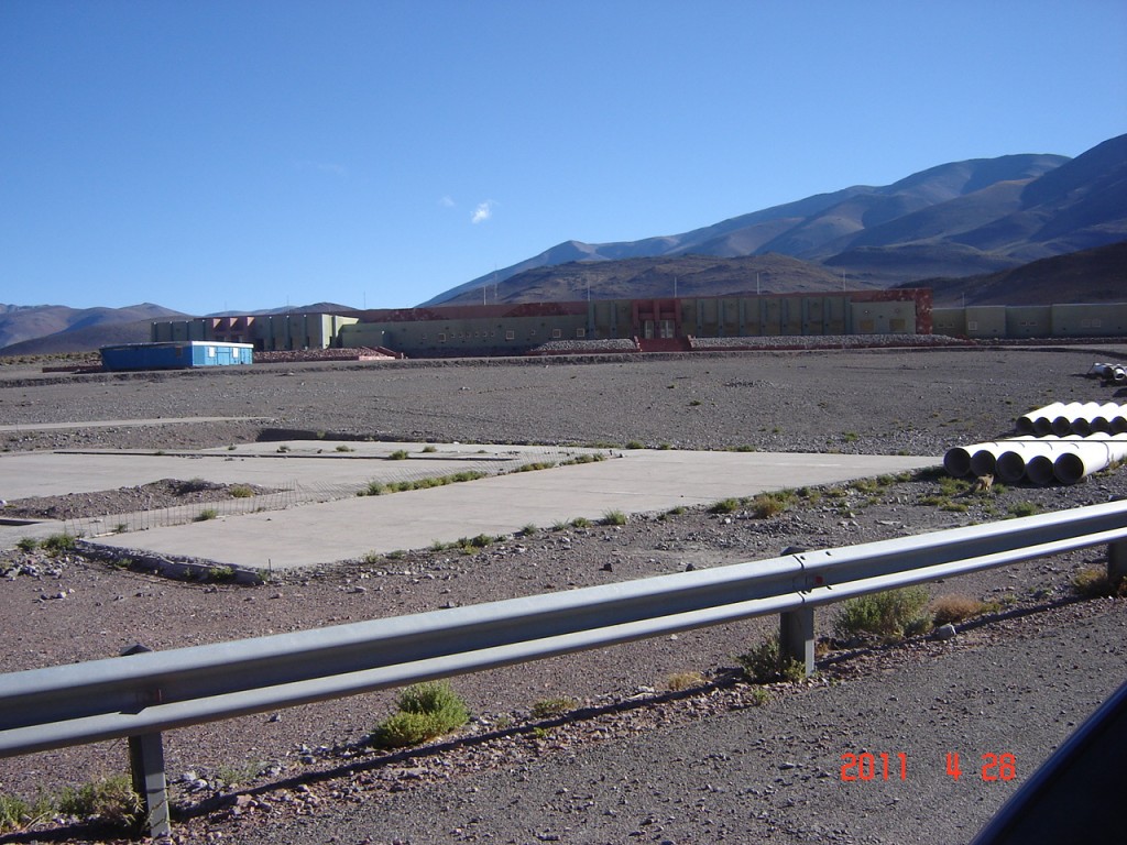 Foto: Cortaderas - Fiambalá (Catamarca), Argentina