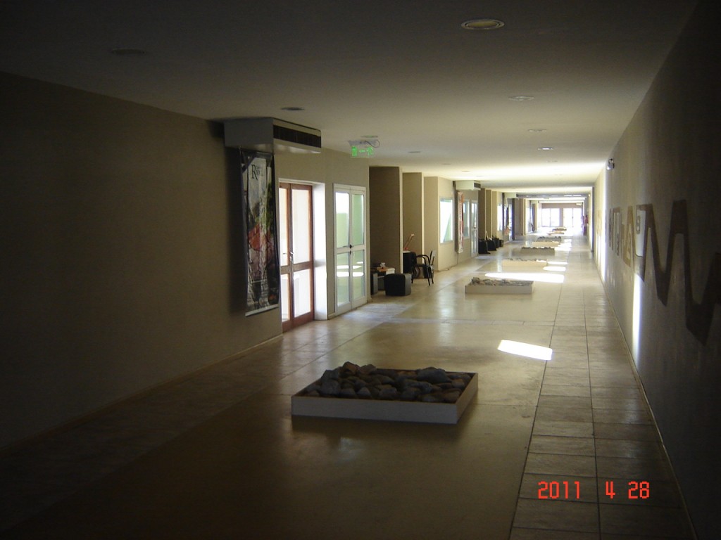 Foto: Cortaderas - Fiambalá (Catamarca), Argentina