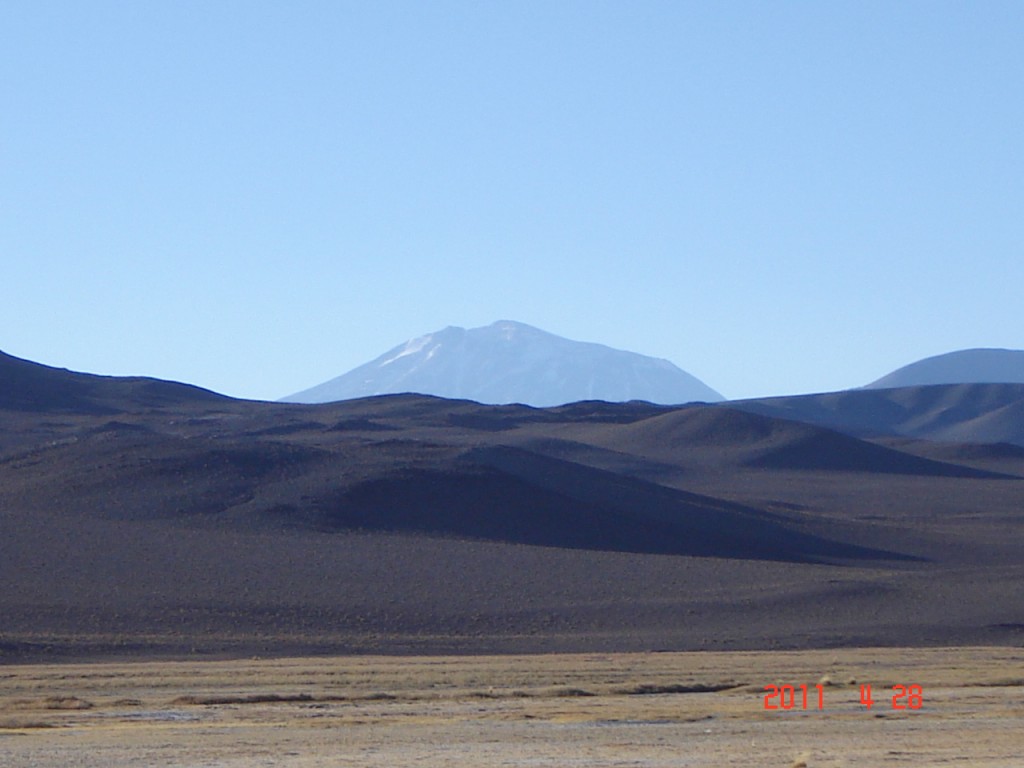Foto: Cortaderas - Fiambalá (Catamarca), Argentina