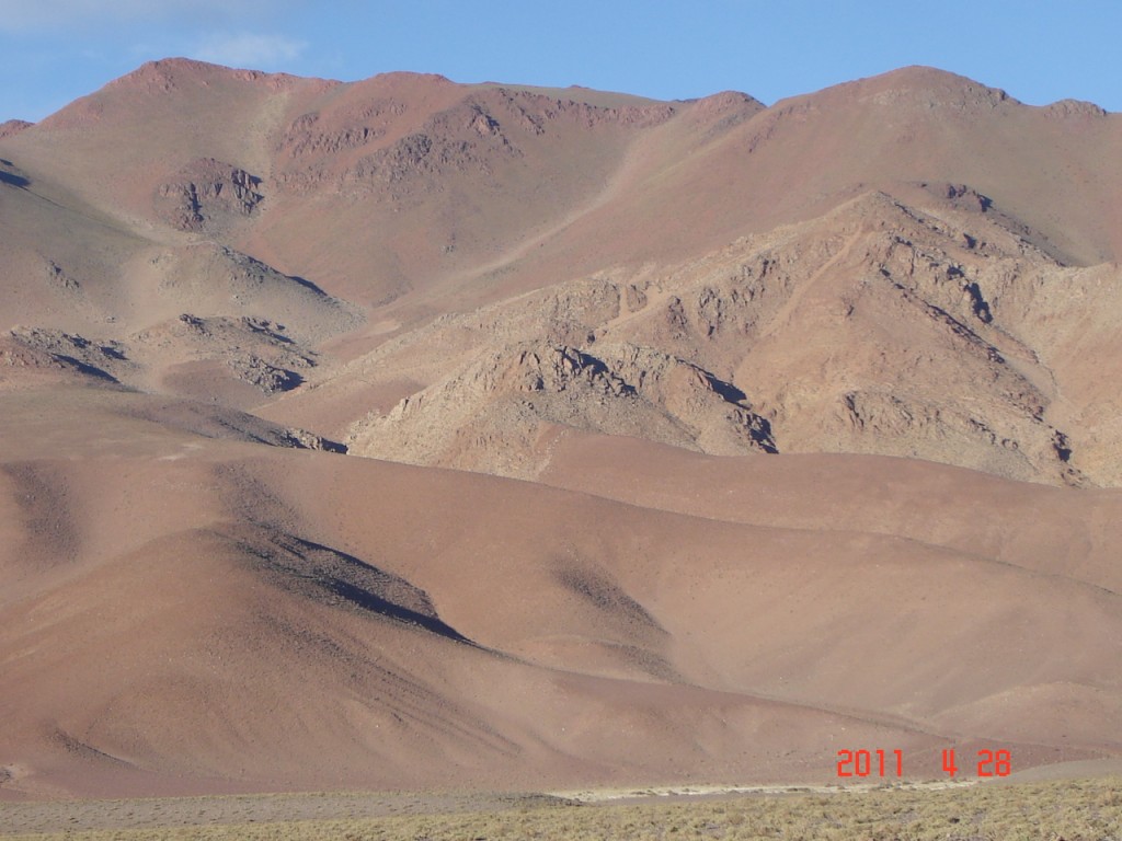 Foto: Cortaderas - Fiambalá (Catamarca), Argentina