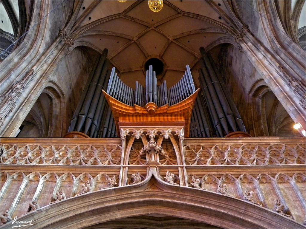 Foto: 110430-041 VIENA - Viena (Vienna), Austria