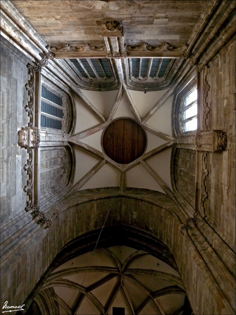 Foto: 110430-070 VIENA - Viena (Vienna), Austria