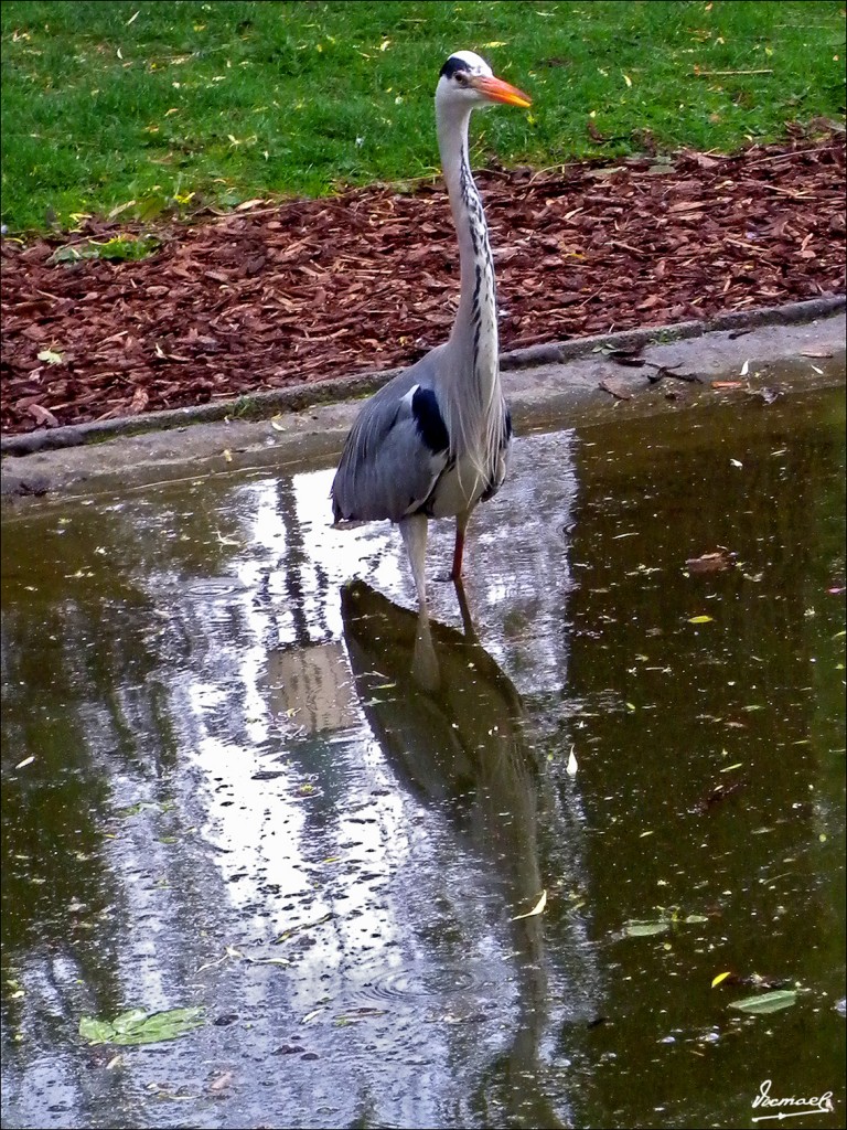 Foto: 110430-229 VIENA - Viena (Vienna), Austria