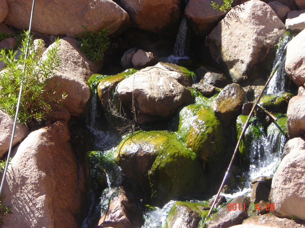 Foto: Complejo Termal Fiambalá. - Fiambalá (Catamarca), Argentina