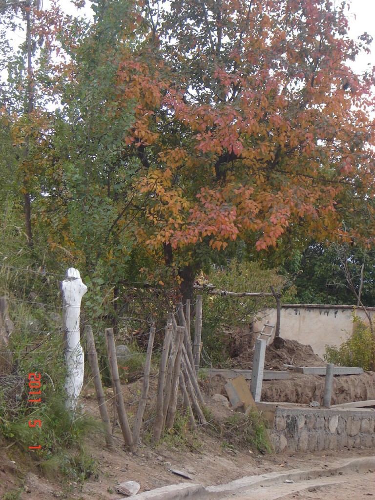 Foto de Belén (Catamarca), Argentina