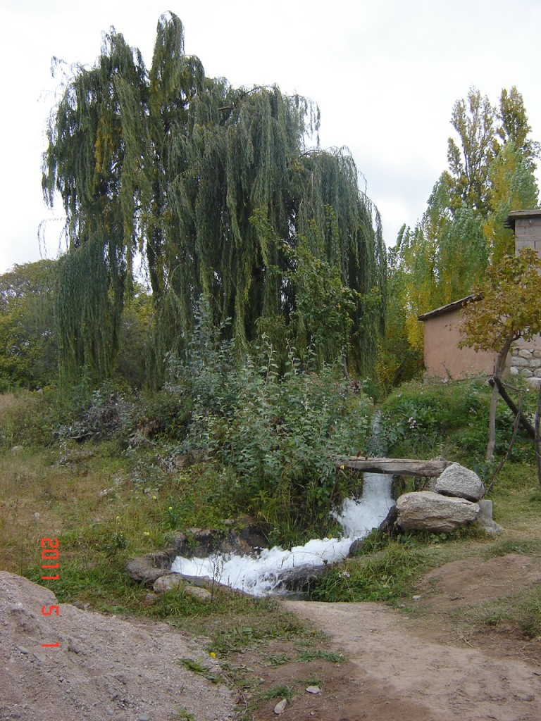 Foto: Condor Huasi - Belén (Catamarca), Argentina